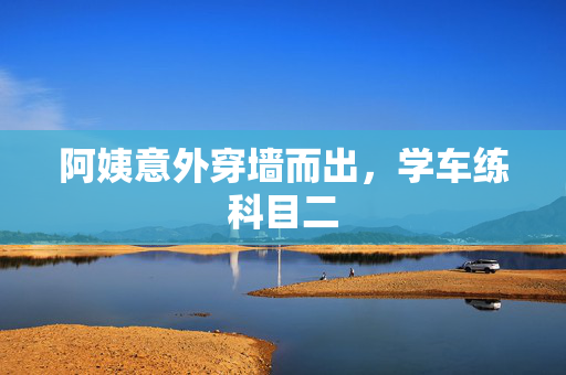 阿姨意外穿墙而出，学车练科目二