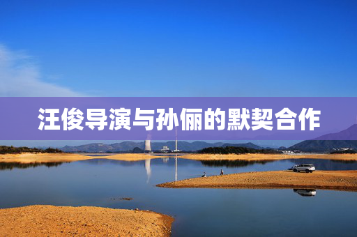 汪俊导演与孙俪的默契合作