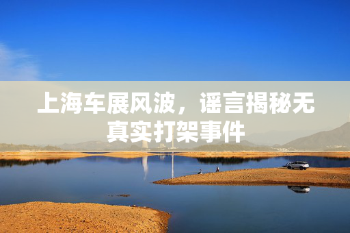 上海车展风波，谣言揭秘无真实打架事件