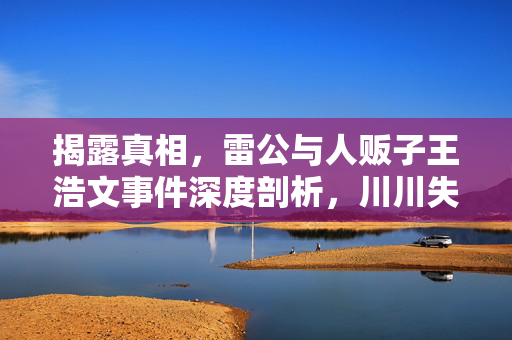 揭露真相，雷公与人贩子王浩文事件深度剖析，川川失踪案的否认与真相探寻