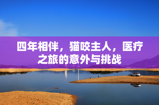 四年相伴，猫咬主人，医疗之旅的意外与挑战
