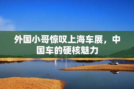 外国小哥惊叹上海车展，中国车的硬核魅力