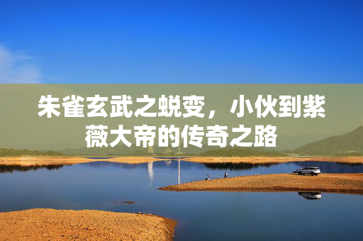 朱雀玄武之蜕变，小伙到紫薇大帝的传奇之路