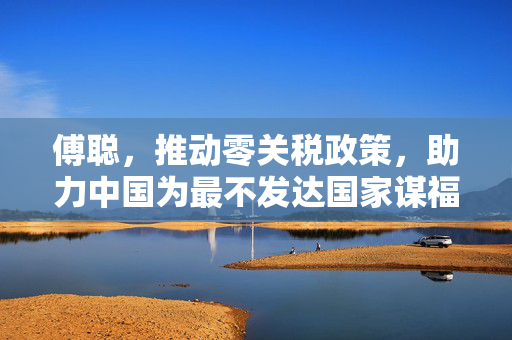 傅聪，推动零关税政策，助力中国为最不发达国家谋福利的积极推动者