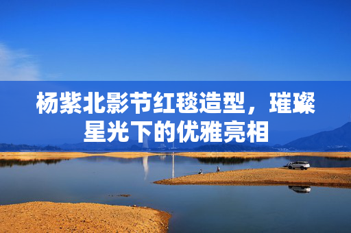 杨紫北影节红毯造型，璀璨星光下的优雅亮相