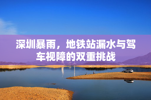 深圳暴雨，地铁站漏水与驾车视障的双重挑战