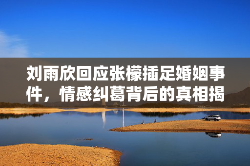 刘雨欣回应张檬插足婚姻事件，情感纠葛背后的真相揭秘