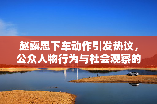 赵露思下车动作引发热议，公众人物行为与社会观察的交织