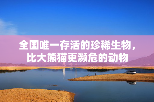 全国唯一存活的珍稀生物，比大熊猫更濒危的动物