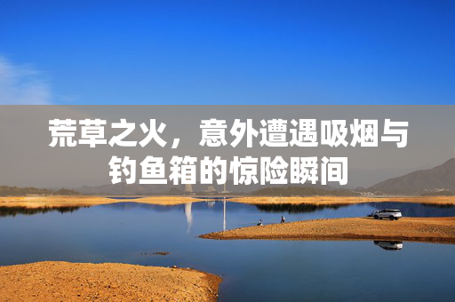 荒草之火，意外遭遇吸烟与钓鱼箱的惊险瞬间