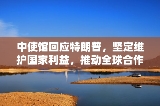 中使馆回应特朗普，坚定维护国家利益，推动全球合作，中国需让步以促进合作共赢
