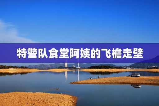 特警队食堂阿姨的飞檐走壁