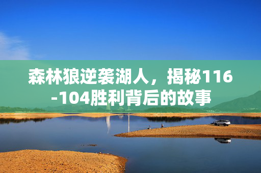 森林狼逆袭湖人，揭秘116-104胜利背后的故事