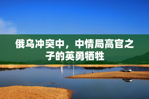俄乌冲突中，中情局高官之子的英勇牺牲