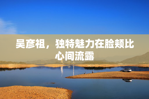 吴彦祖，独特魅力在脸颊比心间流露