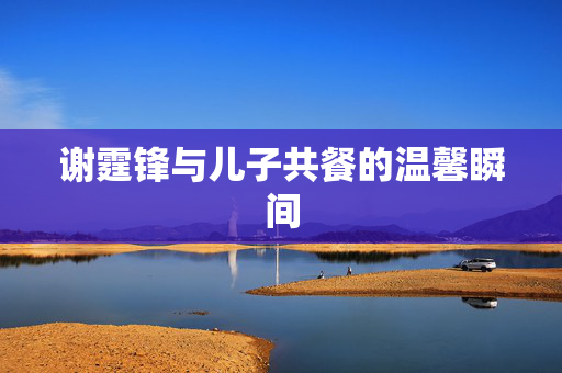 谢霆锋与儿子共餐的温馨瞬间