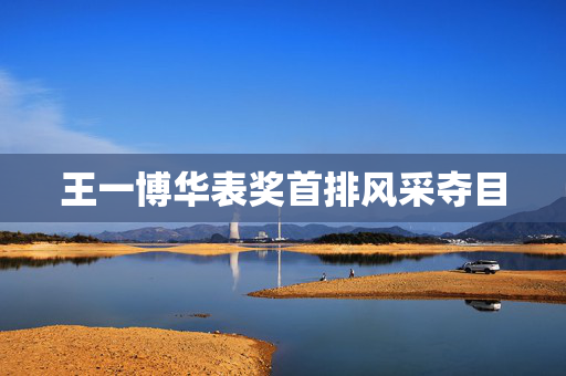 王一博华表奖首排风采夺目