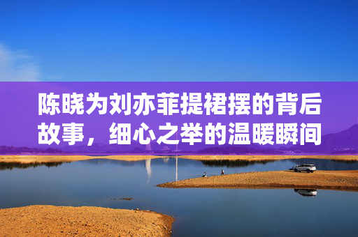 陈晓为刘亦菲提裙摆的背后故事，细心之举的温暖瞬间