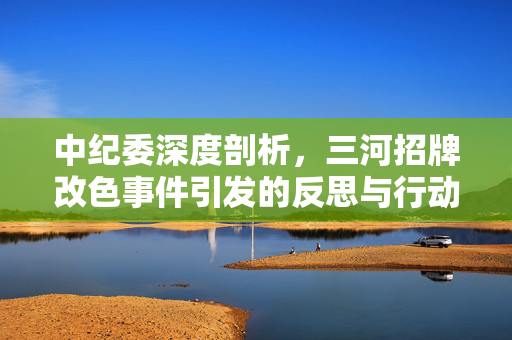 中纪委深度剖析，三河招牌改色事件引发的反思与行动
