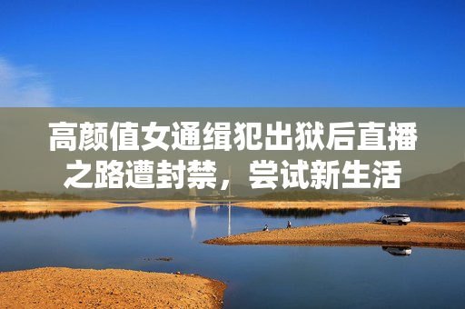 高颜值女通缉犯出狱后直播之路遭封禁，尝试新生活