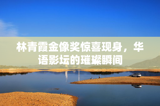 林青霞金像奖惊喜现身，华语影坛的璀璨瞬间