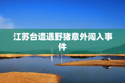 江苏台遭遇野猪意外闯入事件