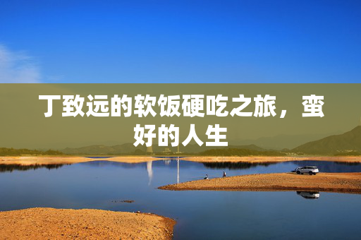 丁致远的软饭硬吃之旅，蛮好的人生