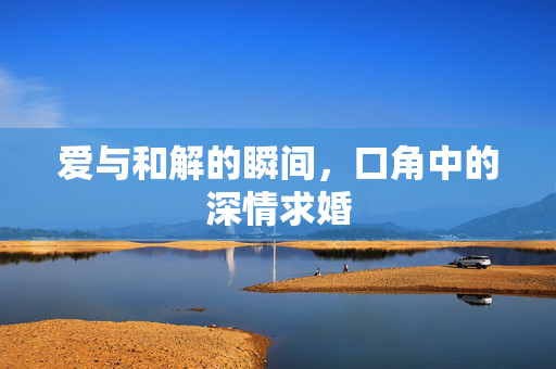 爱与和解的瞬间，口角中的深情求婚