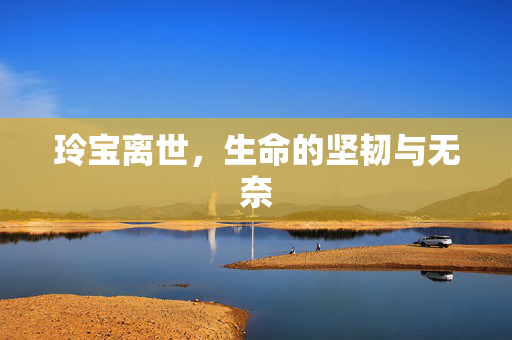 玲宝离世，生命的坚韧与无奈