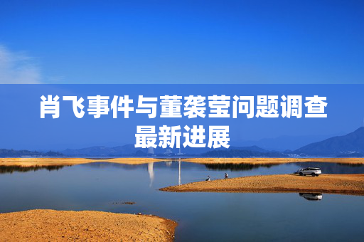肖飞事件与董袭莹问题调查最新进展