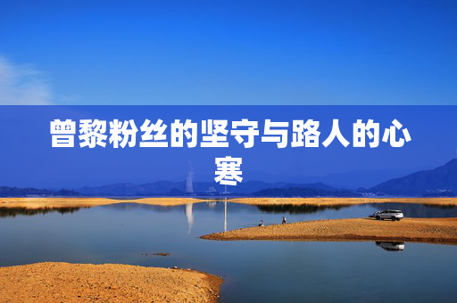 曾黎粉丝的坚守与路人的心寒