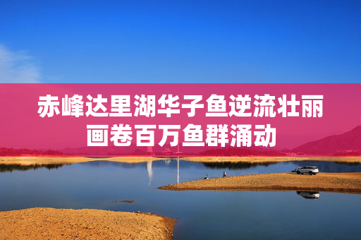 赤峰达里湖华子鱼逆流壮丽画卷百万鱼群涌动