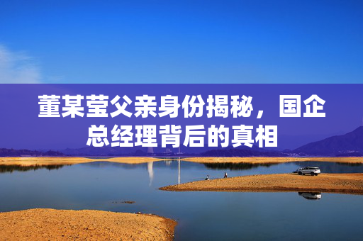 董某莹父亲身份揭秘，国企总经理背后的真相