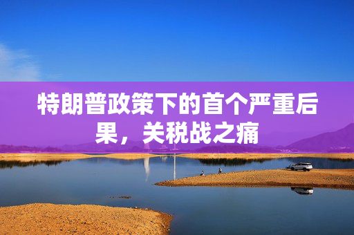 特朗普政策下的首个严重后果，关税战之痛