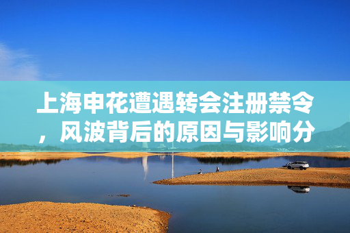 上海申花遭遇转会注册禁令，风波背后的原因与影响分析