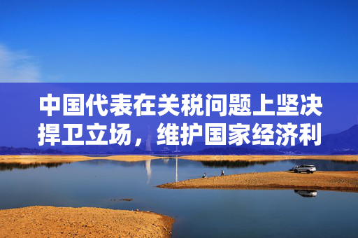 中国代表在关税问题上坚决捍卫立场，维护国家经济利益与公平贸易秩序