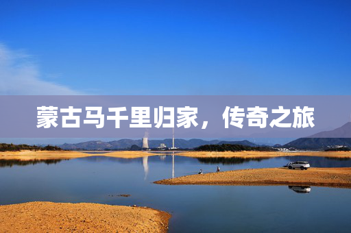 蒙古马千里归家，传奇之旅