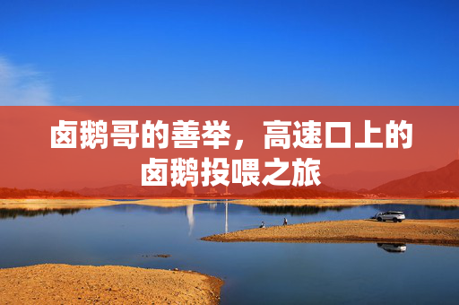 卤鹅哥的善举，高速口上的卤鹅投喂之旅