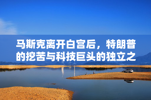 马斯克离开白宫后，特朗普的挖苦与科技巨头的独立之路