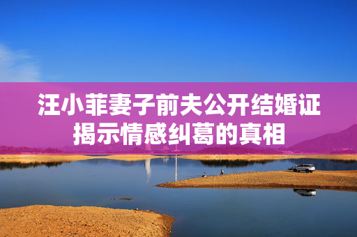 汪小菲妻子前夫公开结婚证揭示情感纠葛的真相