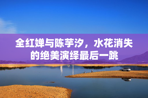 全红婵与陈芋汐，水花消失的绝美演绎最后一跳