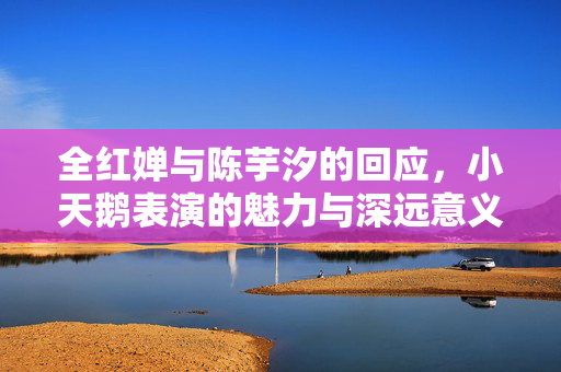 全红婵与陈芋汐的回应，小天鹅表演的魅力与深远意义