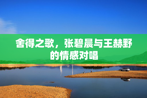 舍得之歌，张碧晨与王赫野的情感对唱