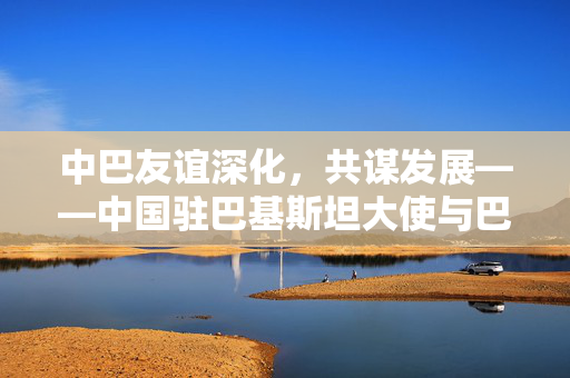 中巴友谊深化，共谋发展——中国驻巴基斯坦大使与巴总理会面