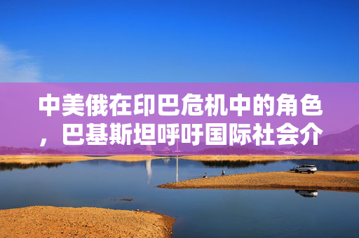 中美俄在印巴危机中的角色，巴基斯坦呼吁国际社会介入