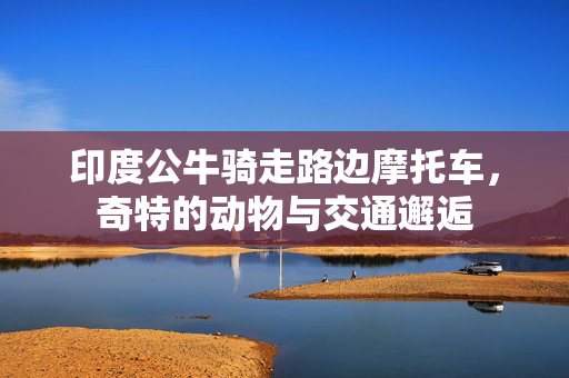 印度公牛骑走路边摩托车，奇特的动物与交通邂逅