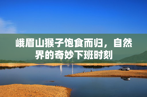 峨眉山猴子饱食而归，自然界的奇妙下班时刻