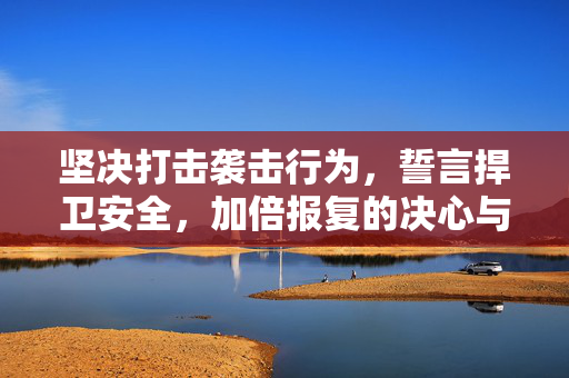 坚决打击袭击行为，誓言捍卫安全，加倍报复的决心与行动
