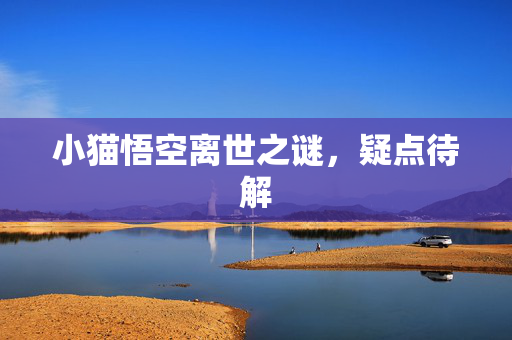 小猫悟空离世之谜，疑点待解