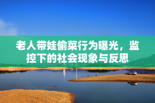 老人带娃偷菜行为曝光，监控下的社会现象与反思
